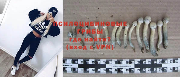 каннабис Богданович