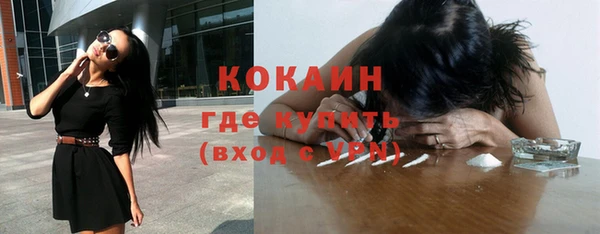 ПСИЛОЦИБИНОВЫЕ ГРИБЫ Бородино