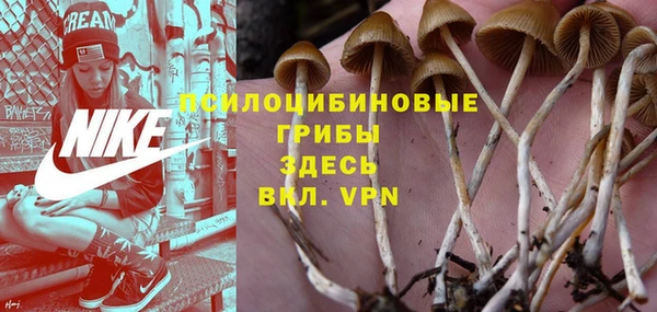 метадон Богородицк