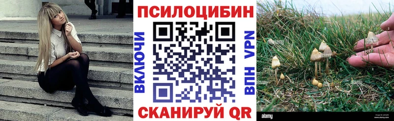 Галлюциногенные грибы Psilocybine cubensis Купить где Каменск-Уральский